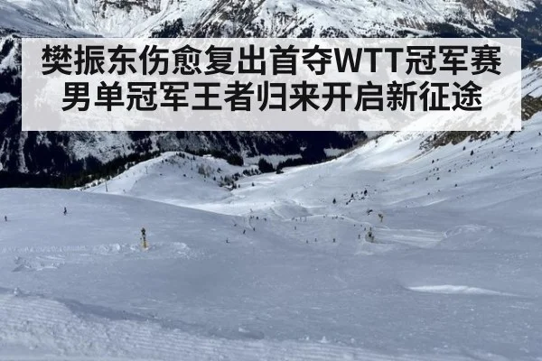 樊振东伤愈复出首夺WTT冠军赛男单冠军王者归来开启新征途